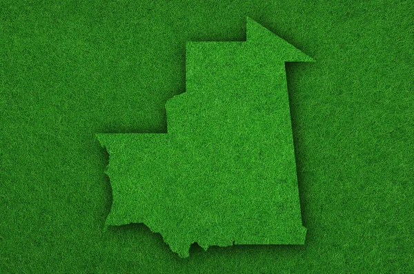 Carte Mauritanie Sur Feutre Vert — Photo