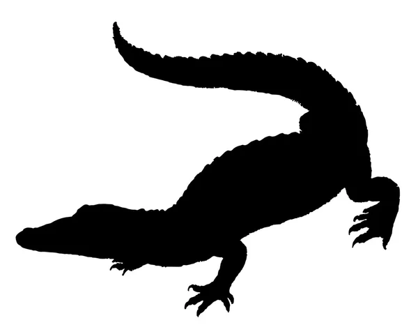 Crocodile Silhouette — Stock Vector