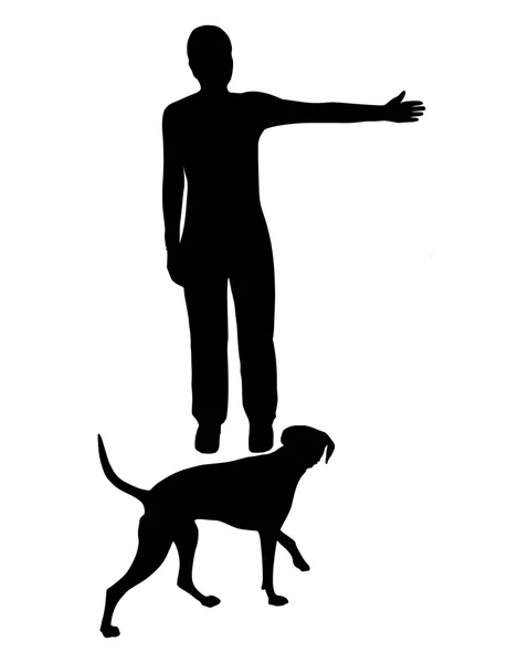 Entrenamiento de perros (obediencia): Comando: Ir a la derecha ! — Vector de stock