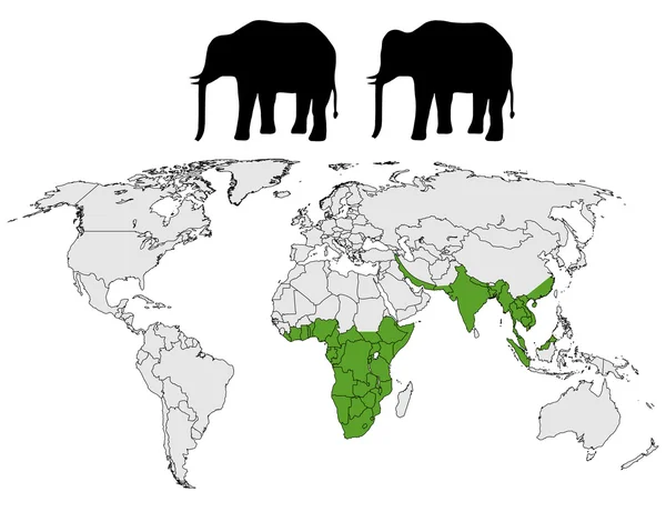 Gamma di elefanti — Vettoriale Stock