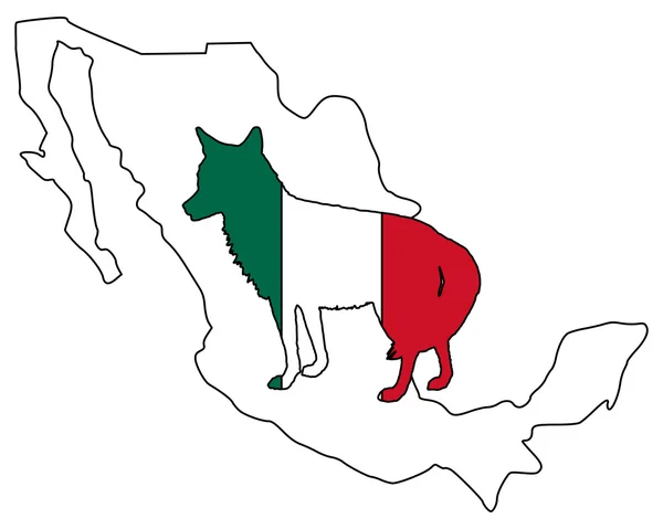 Coiote México — Vetor de Stock