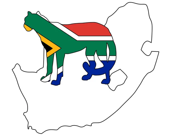Cheetah Afrique du Sud — Image vectorielle