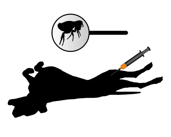 Dog gets an inoculation against fleas on white — Stock Vector