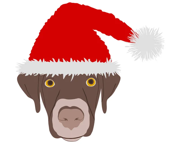 Lachender Hund mit roten Weihnachtsmannmützen — Stockvektor