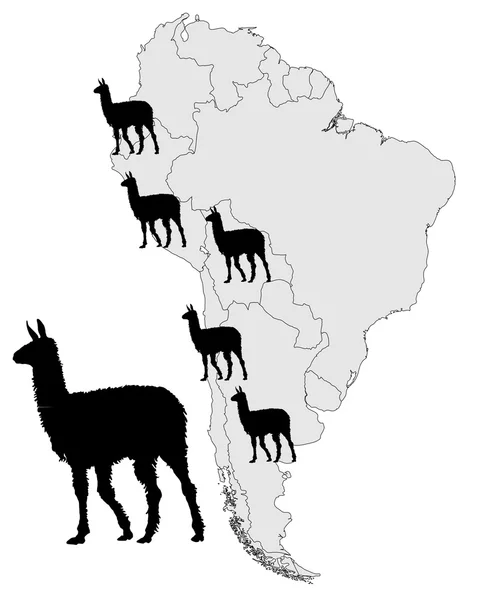 Mapa de alcance de Llama —  Vetores de Stock