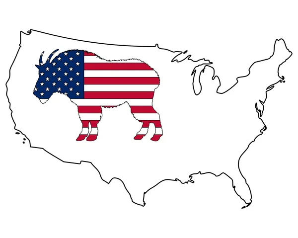 Chèvre de montagne USA — Image vectorielle