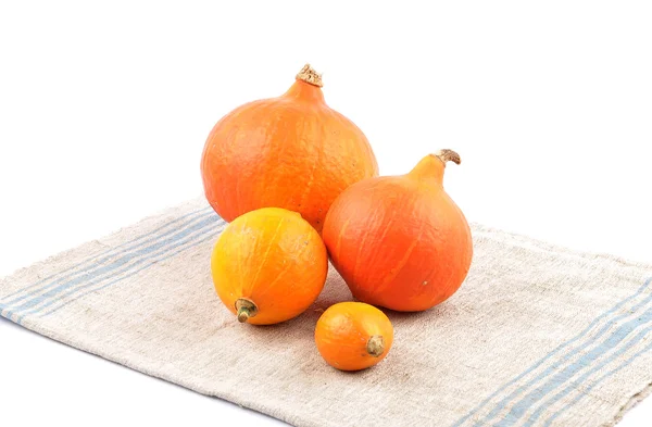Hokkaido pumpkins — Stock Photo, Image