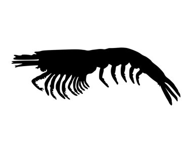 Beyaz üzerine krili