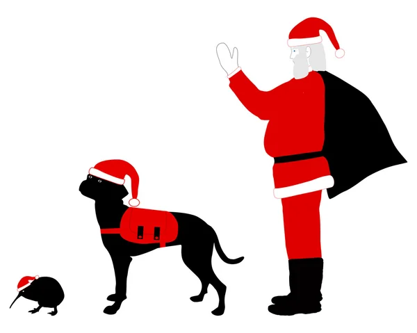 Santa claus hond en kiwi gekleed in kerst kleding — Stockvector