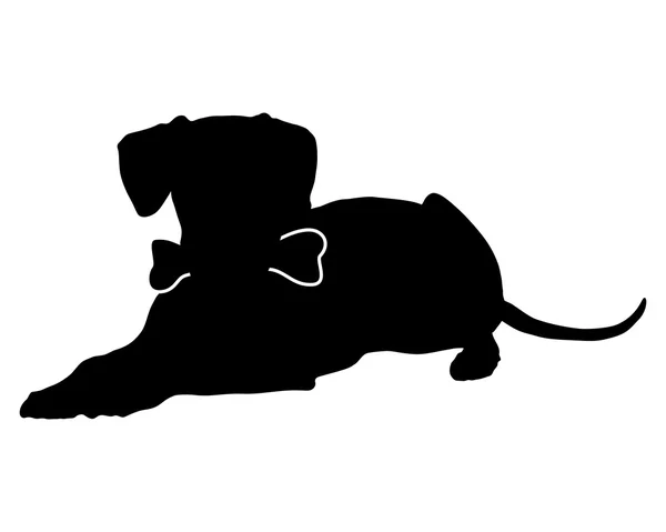 Perro con hueso — Vector de stock