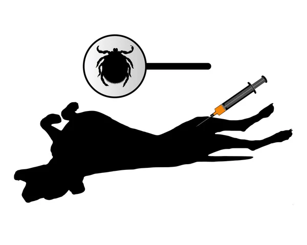 Dog gets an inoculation against ticks on white — Stock Vector