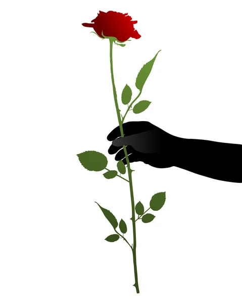 Main à la rose — Image vectorielle