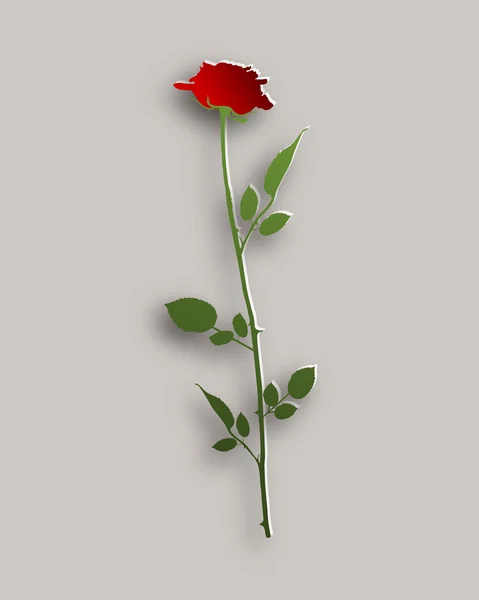 Style papier rose — Image vectorielle