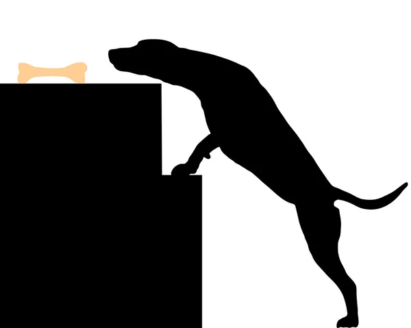 Pes krade kost — Stockový vektor