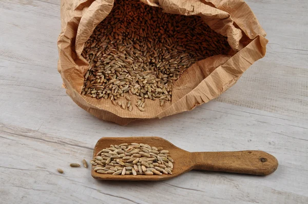 Grain in bag — Stock Photo, Image