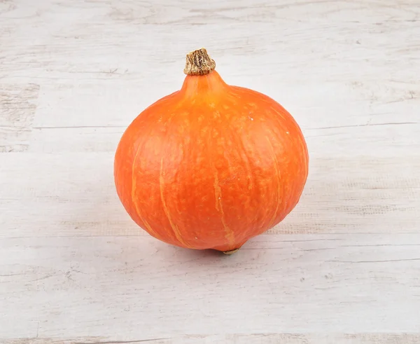 Single Pumpkin — Stock Photo, Image