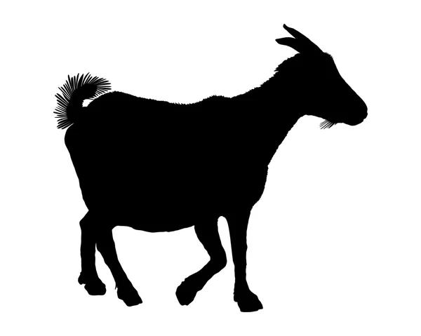 Goat silhouette — Stock Vector