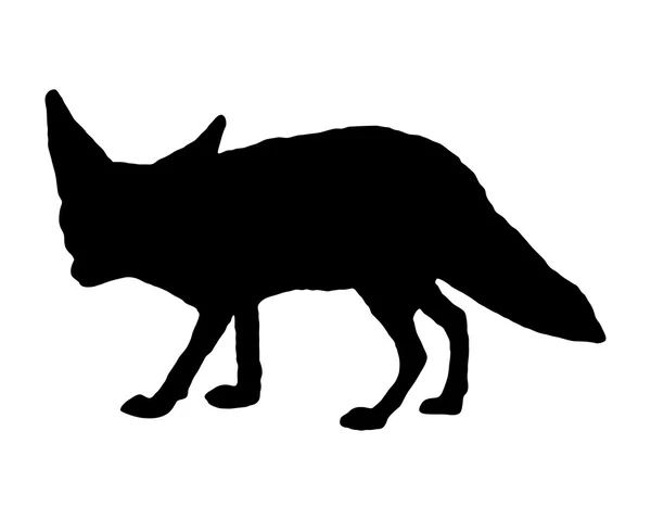 Silhouette renard fennec — Image vectorielle