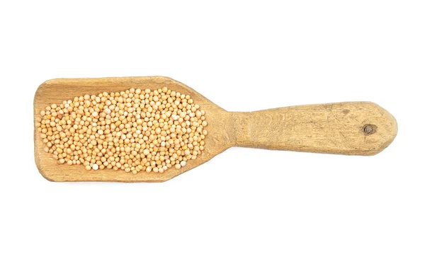 Mustard seeds on shovel — Stock Photo, Image