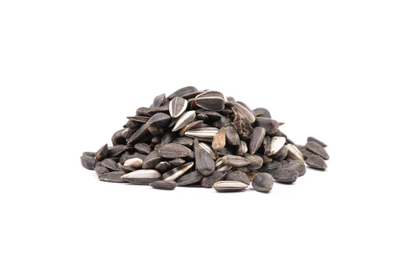 Bird seed — Stock Photo, Image