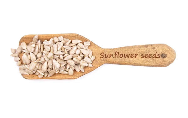 Sunflower seeds on shovel — Stock Photo, Image