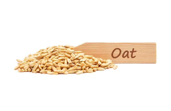 Oat on plate — Stock Photo, Image