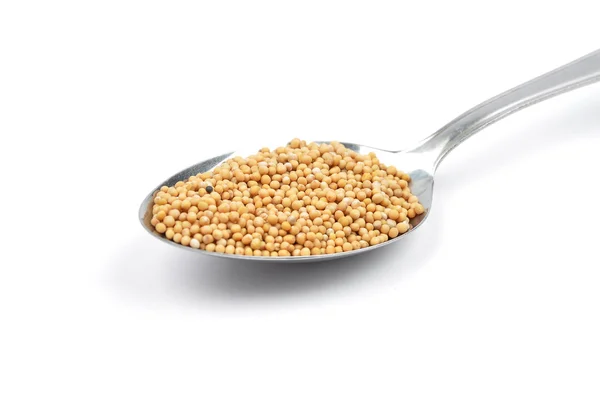 Mustard seeds on spoon — Stock Photo, Image