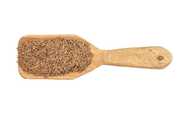 Caraway seeds on shovel — Stock Photo, Image