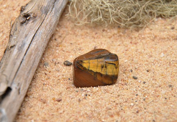Tigers eye on beach
