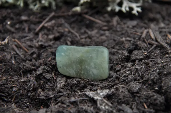 Moss agate on forest floor — Stock Photo, Image