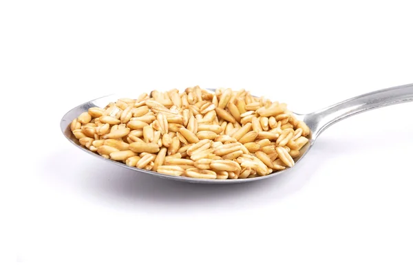 Oat on spoon — Stock Photo, Image