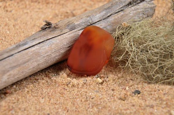 Carneool op strand — Stockfoto