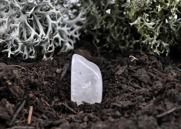 Rock crystal op de bosbodem — Stockfoto