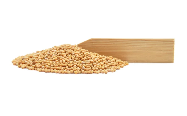 Семена горчицы на тарелке — стоковое фото