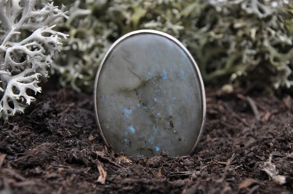 Labradorite on forest floor — Stock Photo, Image