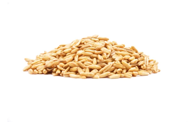 Oat on white — Stock Photo, Image