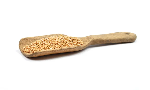 Hořčičná semena na lopatu — Stock fotografie