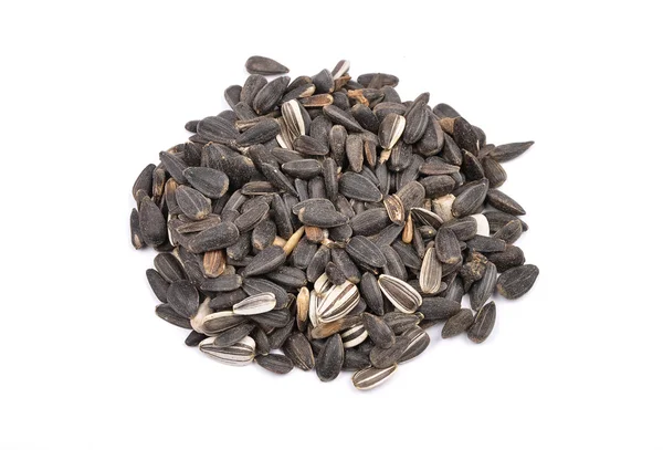 Bird seed — Stock Photo, Image