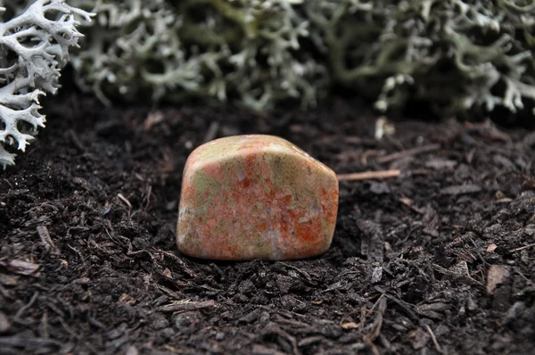 Unakite on forest floor — Stock Photo, Image