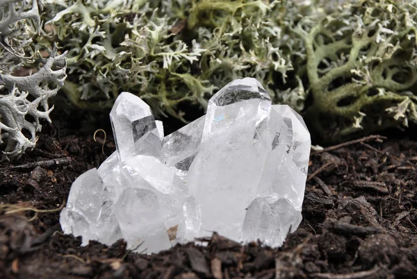 Cristal de roca en el suelo forestal — Foto de Stock