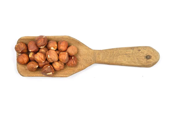 Hazelnuts on shovel — Stock Photo, Image