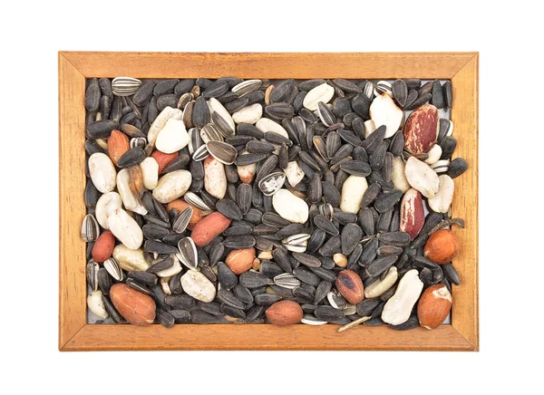Bird seed in frame — Stock Photo, Image