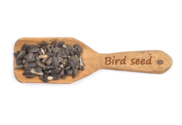 Bird seed on shovel — Stock Photo, Image