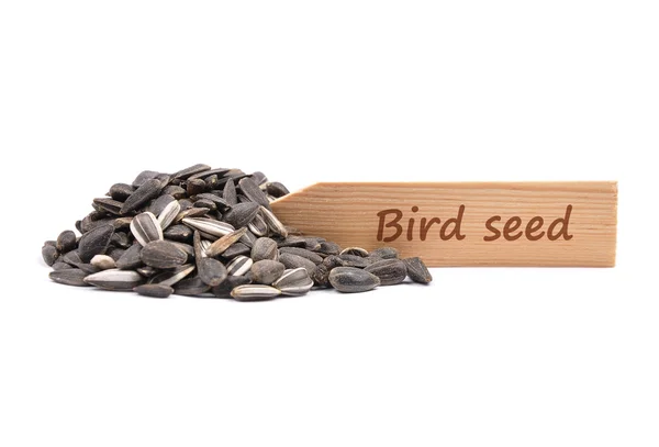 Bird seed at plate — Stock Photo, Image