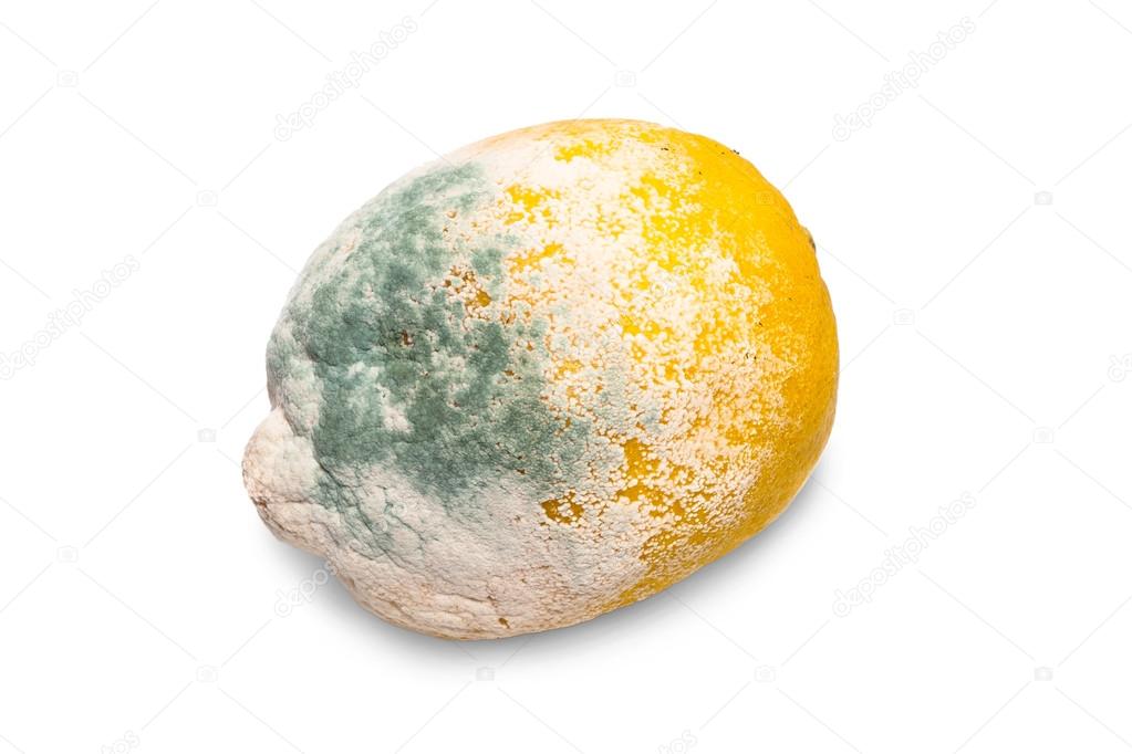 Moldy lemon