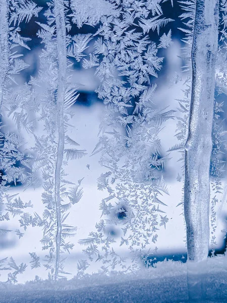 窗玻璃上的霜冻图案 图库图片