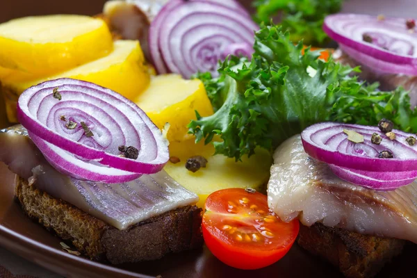 Broodjes roggebrood met haring — Stockfoto