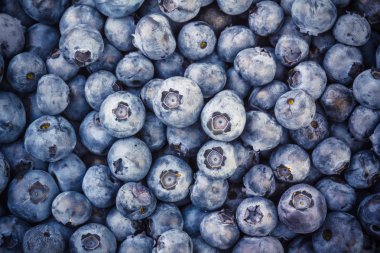 Yığın taze çekilmiş yaban mersini