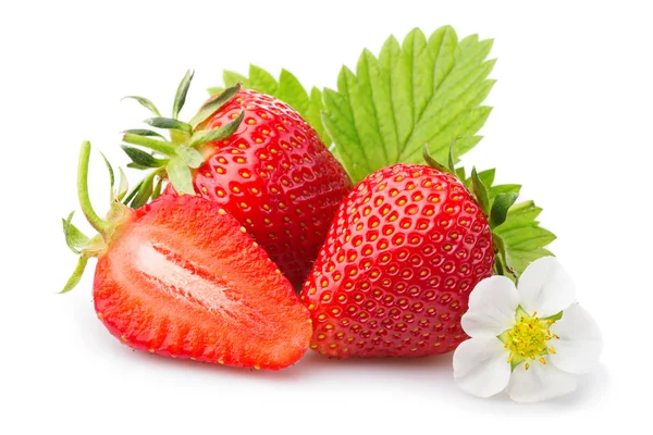 Fraises avec feuilles et fleurs. Isolé sur un blanc — Photo