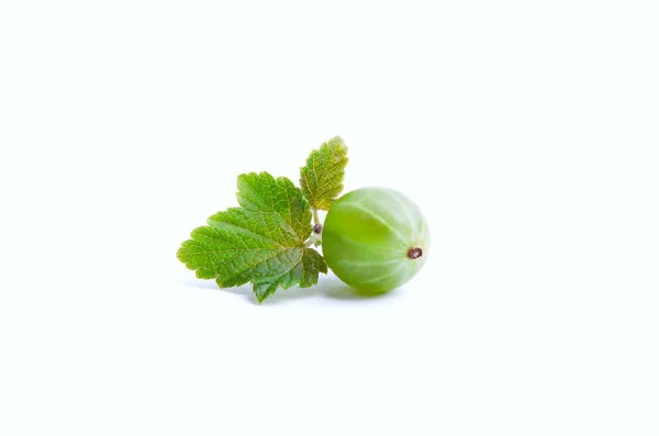 Black currant on a white background — Stock Photo, Image